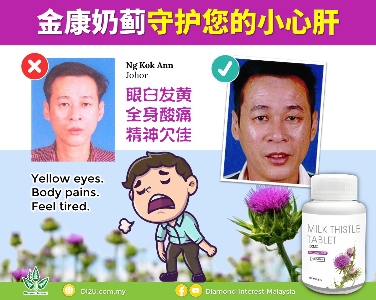 奶蓟补肝丸见证2